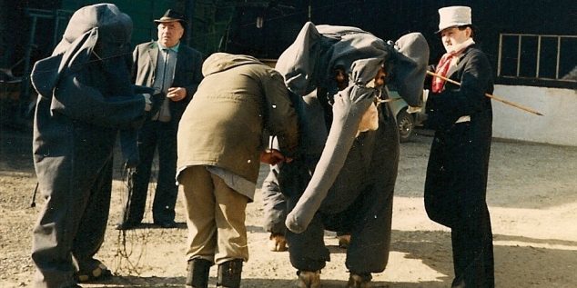 Faschingsumzug Haldenwanger Gaudi